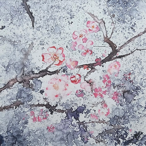 Flerus de cerisiers écloses